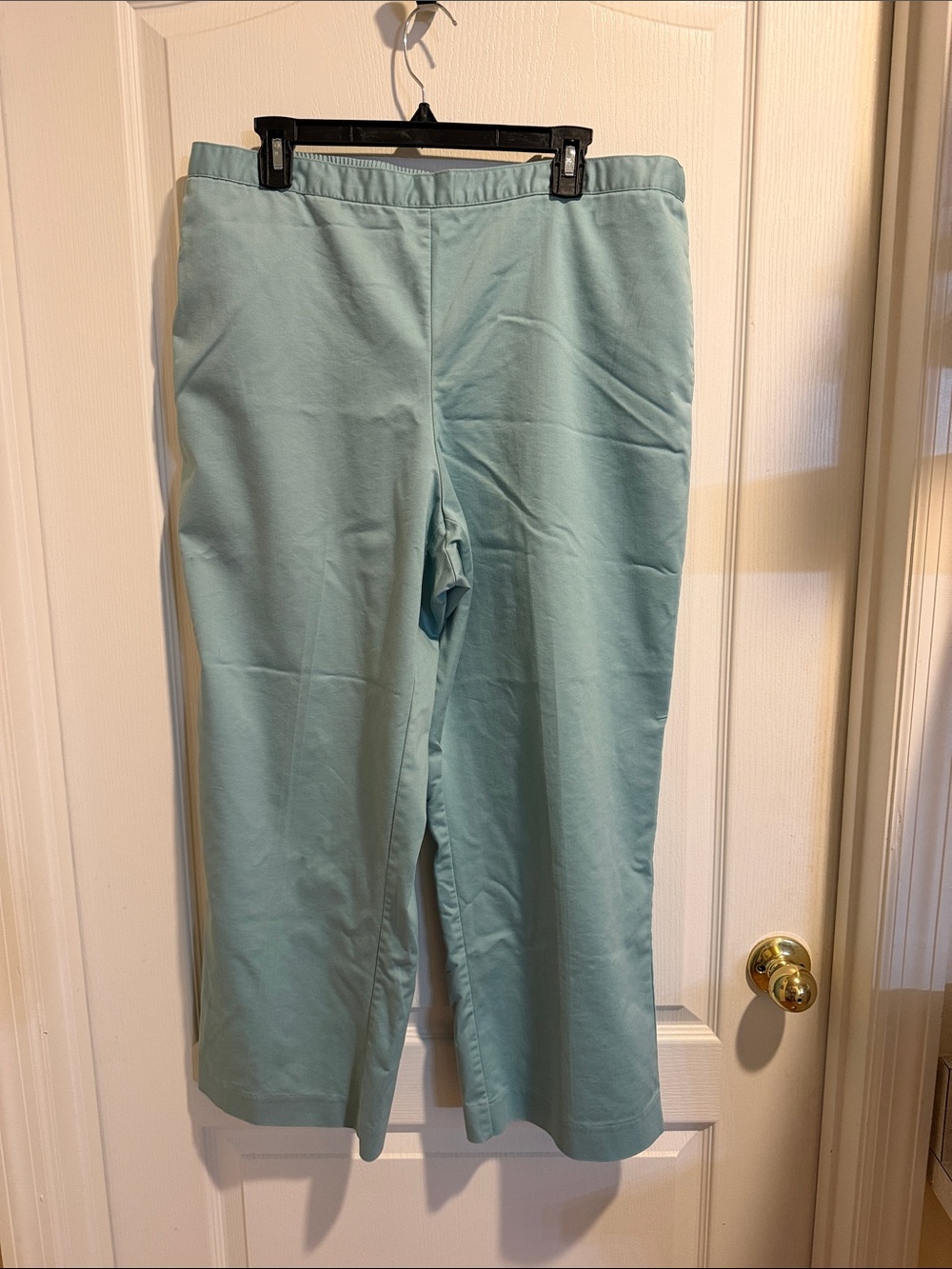 Alfred Dunner Light Aqua Cropped Pants